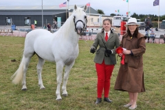 Laura Harper Westport with "Menlough Owen" winner of the Connemara Stallion class (sponsored by Channelle Loughrea) pictured with Sarah Conway (Judge) at Claremorris 100th Agricultural Show 2018. Photo © Michael Donnelly
