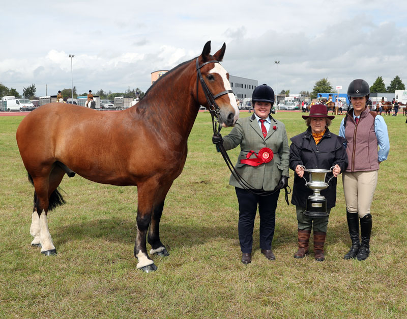 Sinead Flaherty, Killala  winner at Claremorris 101st Agricultural Show 2019 with "Cob Mare or Gelding shown in Hand" Class 6, pictured with judges Valerie Davis and Amy Grady.  Photo © Michael Donnelly