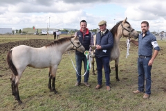 Padraig Hallinan Killawalla Westport Co Mayo is presented with the Cup for  Champion Connemara Pony by Glenn Farrell Walker (Judge) at the Claremorris 103rd Show in Claremorris on 5th August Included is Matthew Newell. Photo © Michael Donnelly