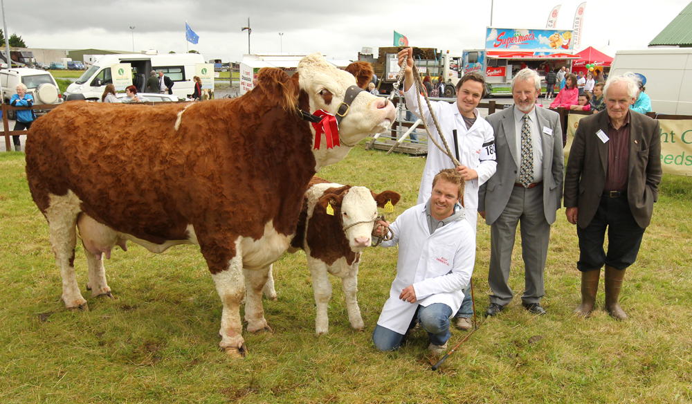 The Neenan Bros, Ballyhaunis winners in the Western Simmental Club  Cow in calf or in Milk Class at the 94th Claremorris Agricultural Show, pictured with Seamus Aherne Limerick, (Judge) and Paddy Veldon, vice-president Claremorris Show). Photo: © Michael Donnelly