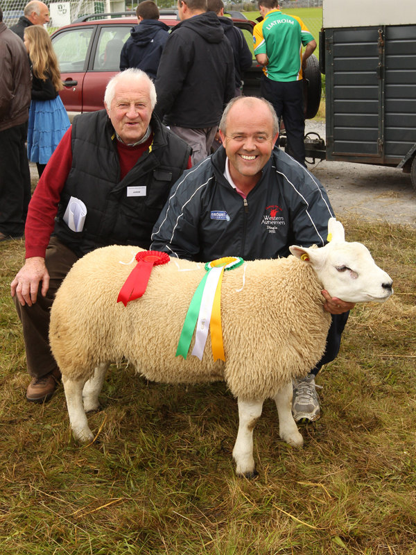 Liam Coen, Hollymount, pictured at the 94th Claremorris Agricultural Show with his Champion Ram Lamb and Reserve Champion Texel with PJ O'Dea (Judge) on left. Photo: © Michael Donnelly Photography