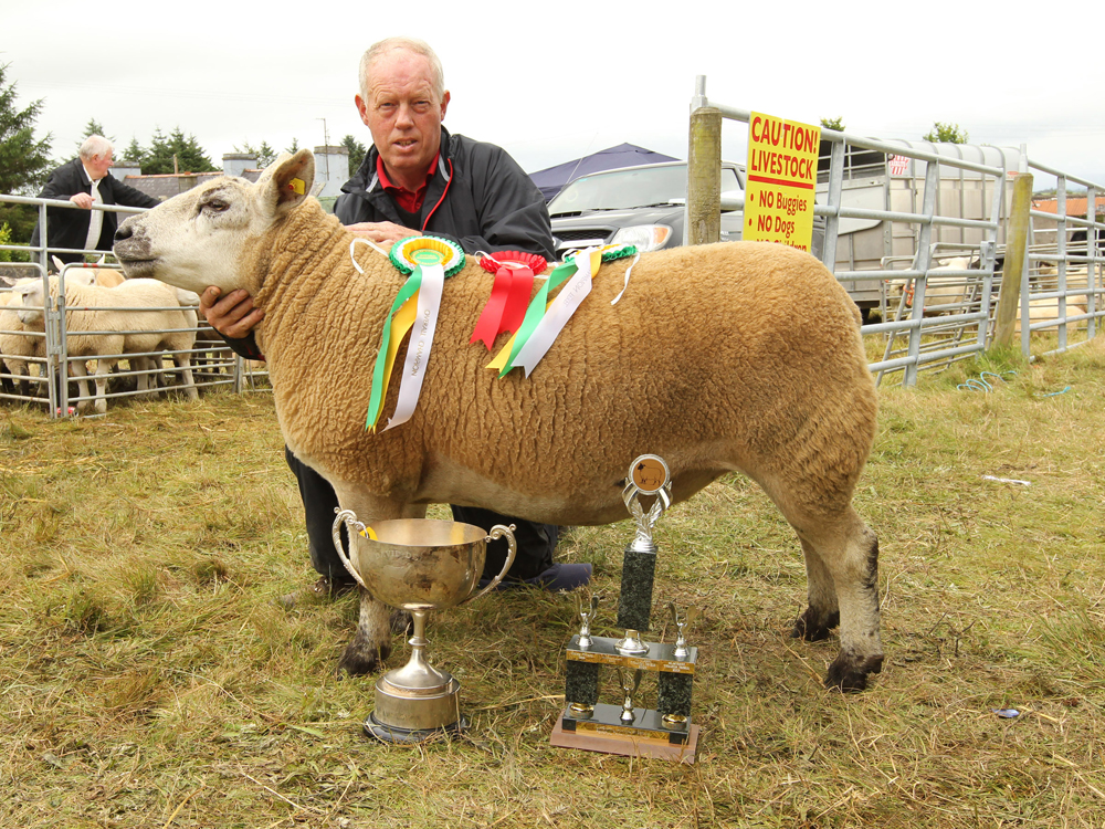 Aidan Fahey, Ardrahan Co Galway won the Champion Commercial  and Overall Champion Sheep of  Show of the 94th Claremorris Agricultural Show. Photo: © Michael Donnelly Photography (Mayopics)