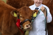 Patricia Moore, Buckfield Kilmeena (Buckfield Limousins) showing in the Overall Limousins class after winning in the January Heifer class at the Claremorris Agricultural Show. Photo: © Michael Donnelly