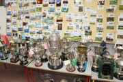 A great array of Cups at Claremorris Agricultural Show 2017 in the background are entries for next years Calendar. Photo: © Michael Donnelly