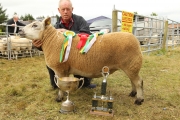 Aidan Fahey, Ardrahan Co Galway won the Champion Commercial  and Overall Champion Sheep of  Show of the 94th Claremorris Agricultural Show. Photo: © Michael Donnelly Photography (Mayopics)