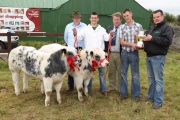 The Maxwell Brothers, Frenchpark pictured with "Best Pair of Non Pedigree Cattle" (sponsored by Hubert Maxwell, Livestock Exporters Roscommon) at 94th Claremorris Agricultural Show, included in photo from left: Tom Byrne, Show Chairman; Mark Maxwell; Leo McEnroe, (Judge); Derek Maxwell who is presented with the Martin Dyer Memorial Cup by Brian Dyer.  Photo: © Michael Donnelly Photography