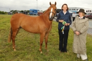 Jane Hennigan, Claremorris pictured with the ReserveChampion in Hand" pony of  the 94th Claremorris Agricultural Show include in photo are  Pat Byrne, Ballymoreustace Co Kildare (Judge). Photo: © Michael Donnelly